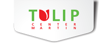 Tulip Center Martin